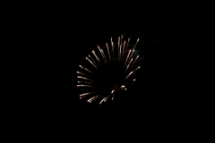 IMG_0416