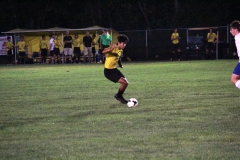 IMG_2224web
