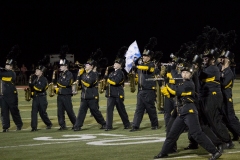 IMG_5813_BAND_USE_WEB