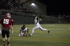 IMG_5964_USE_WEB