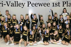 Peewee Cheer Team