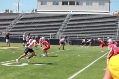 IMG_1533WEB