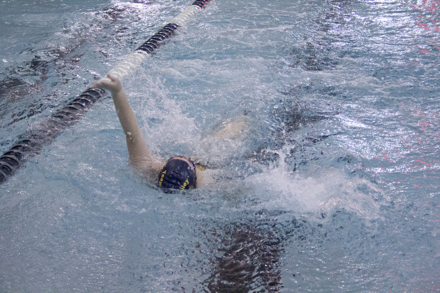 Swimmer