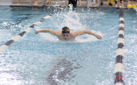 Swimmer