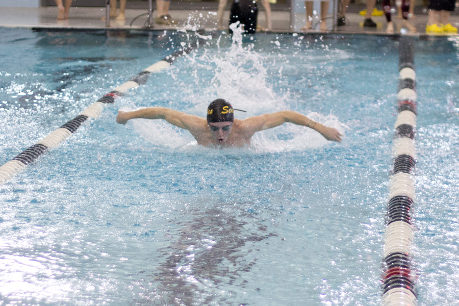 Swimmer