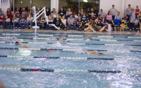 Swimmers