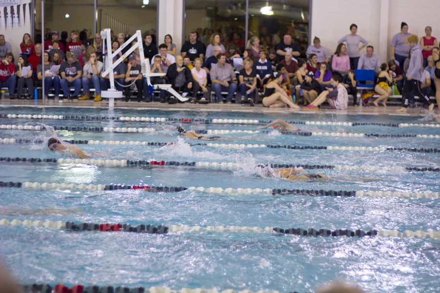 Swimmers