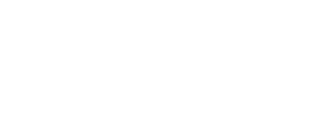 Dresden Buzz logo in white.